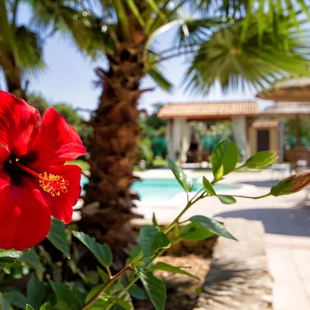 Villa Morena With Exclusive Swimming Pool And Large Garden