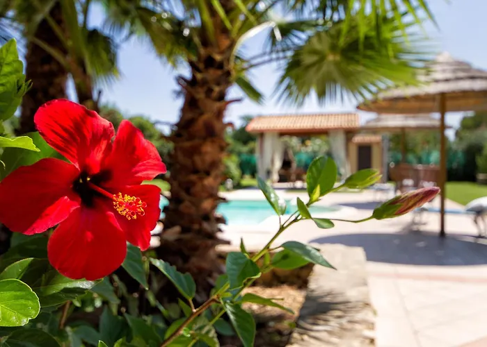 Villa Morena With Exclusive Swimming Pool And Large Garden